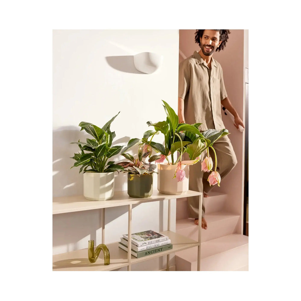 Elho Facet Round Pot_9_main