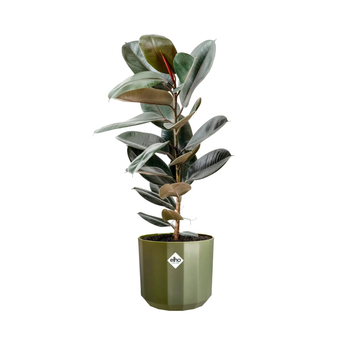 Elho Facet Round Pot Elho