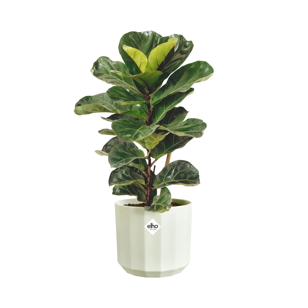 Elho Facet Round Pot Elho