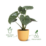 Elho Jazz Round Plant Pot Leaf Culture