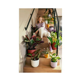 Elho Jazz Round Plant Pot Leaf Culture