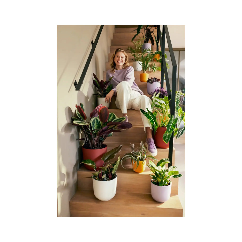 Elho Jazz Round Plant Pot_9_thumb