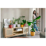 Elho Jazz Round Plant Pot Leaf Culture