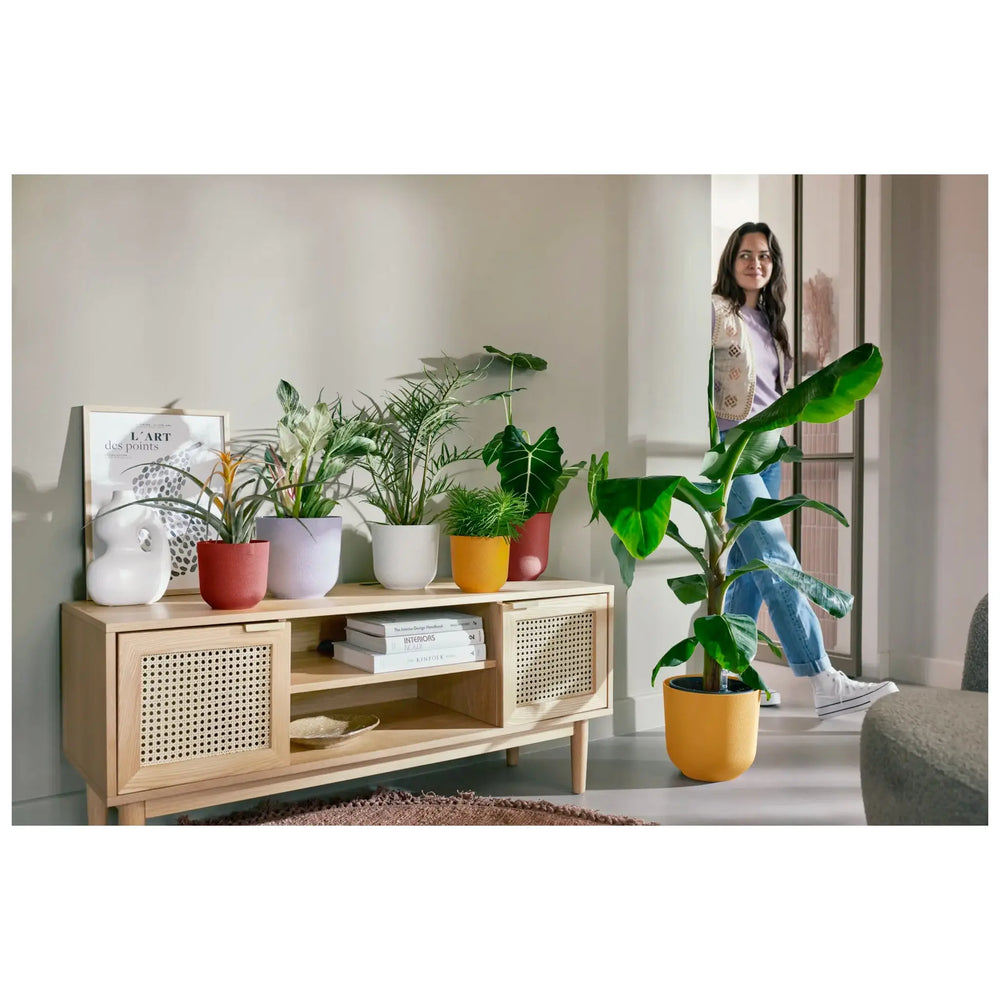 Elho Jazz Round Plant Pot_8_thumb