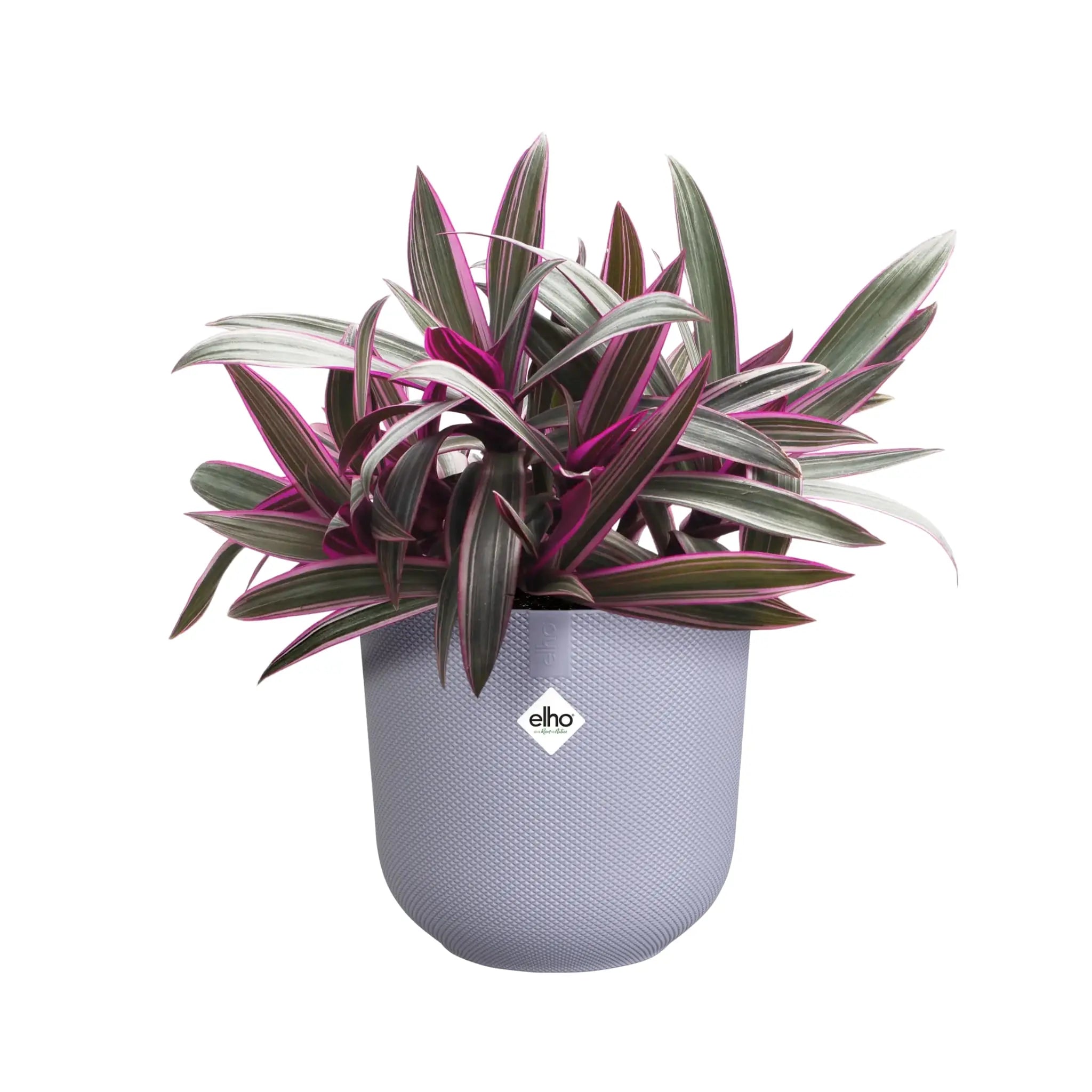 Elho Jazz Round Plant Pot Leaf Culture