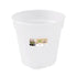 Elho Transparent Nursery Pots | 5pcs Elho