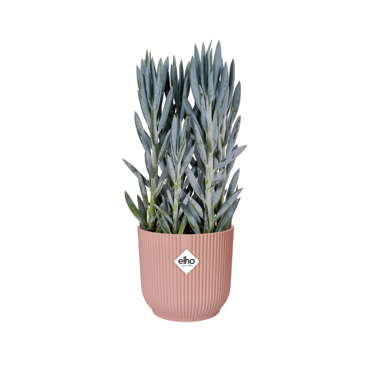 Elho Vibes Fold Round Plant Pot Elho