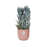 Elho Vibes Fold Round Plant Pot Elho