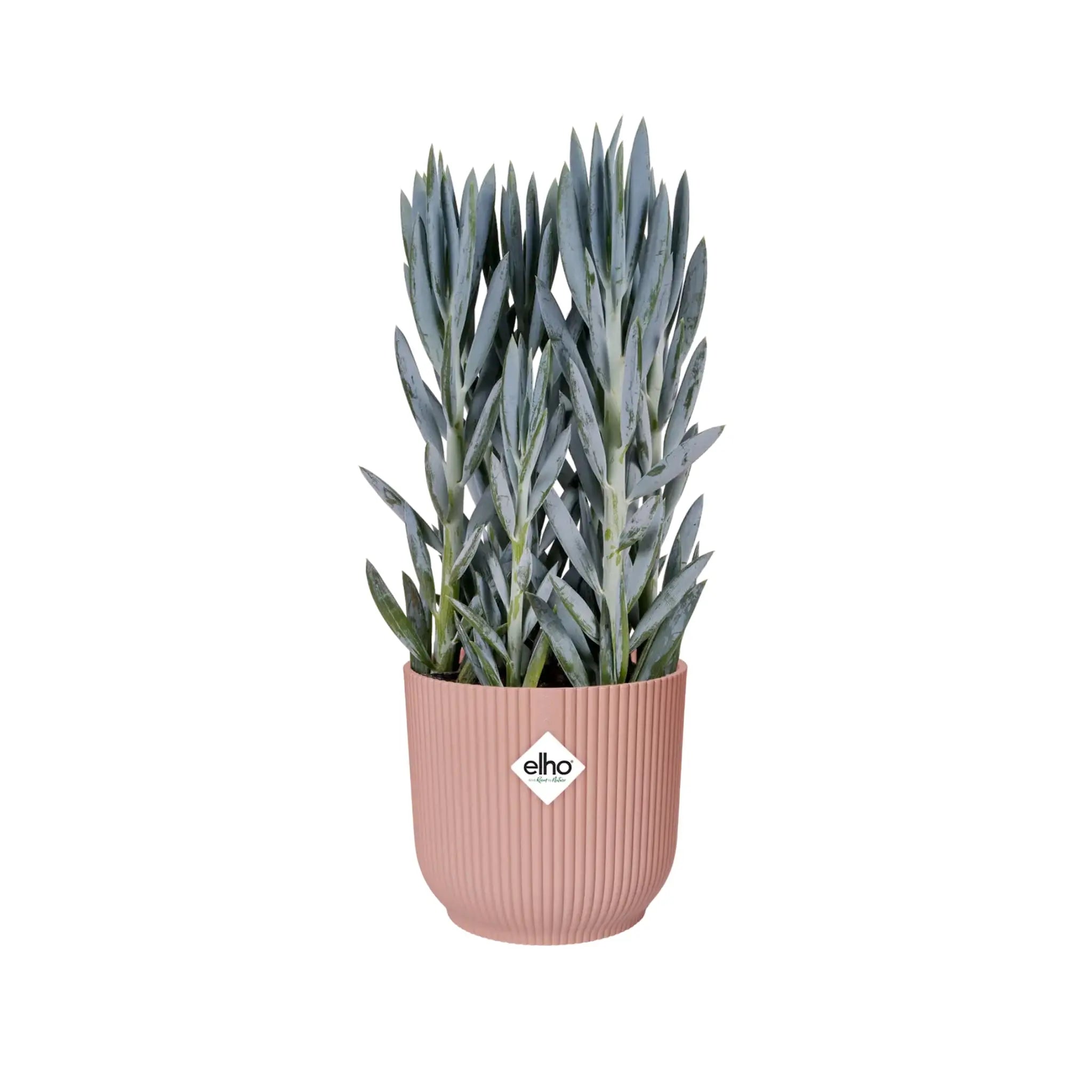 Elho Vibes Fold Round Plant Pot Elho