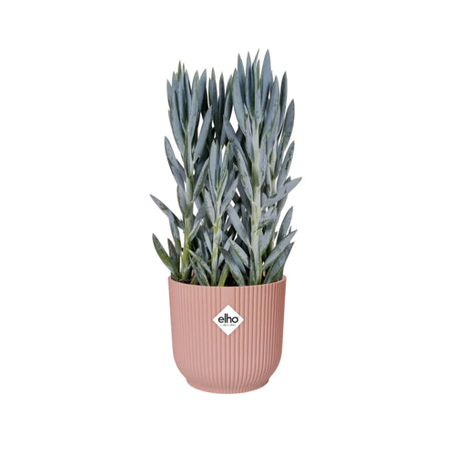 Elho Vibes Fold Round Plant Pot Elho