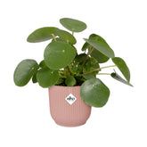 Elho Vibes Fold Round Plant Pot Elho