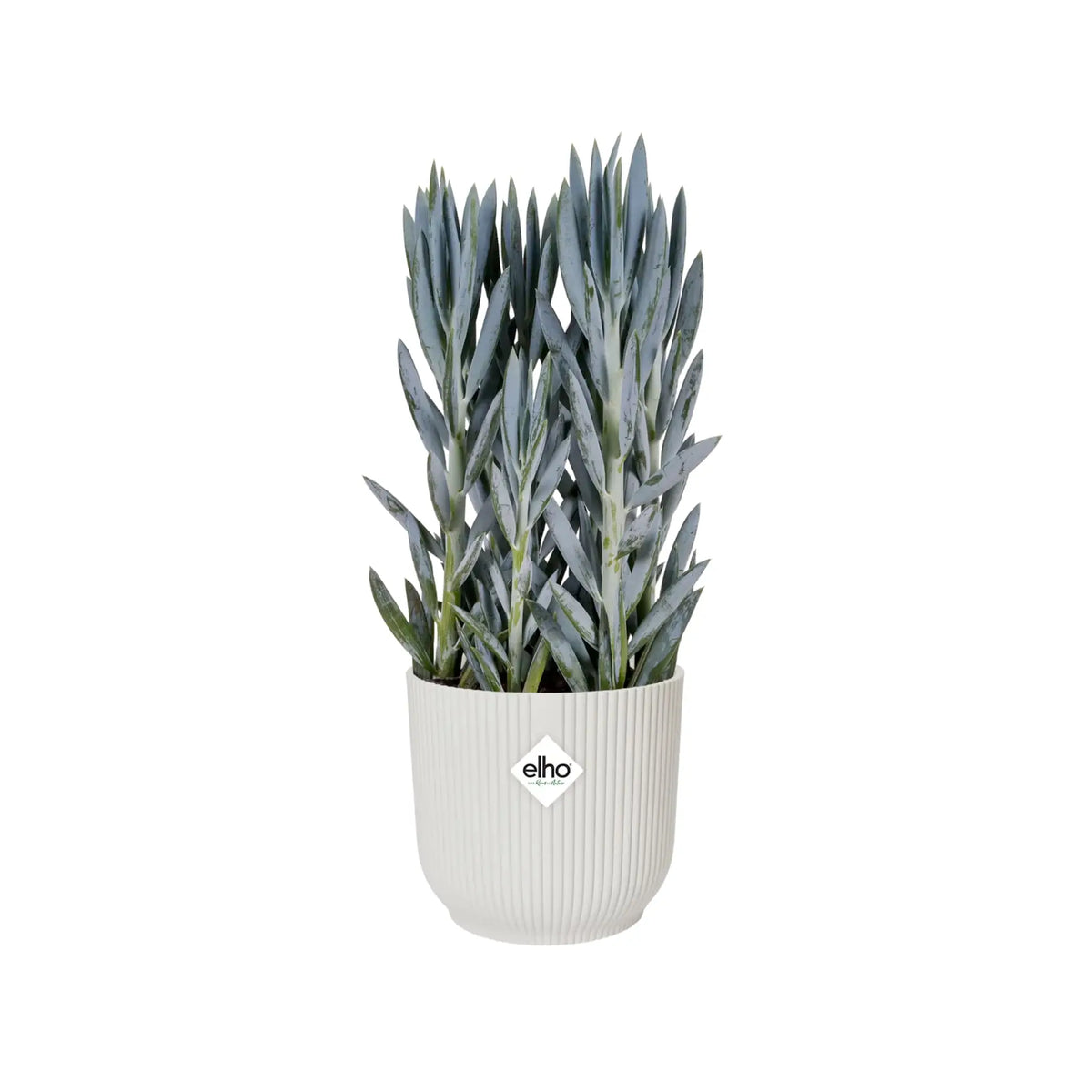 Elho Vibes Fold Round Plant Pot Elho