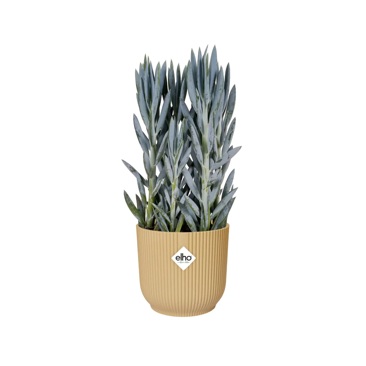Elho Vibes Fold Round Plant Pot Elho