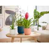 Elho Vibes Fold Round Plant Pot Elho