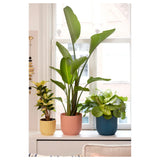 Elho Vibes Fold Round Plant Pot Elho
