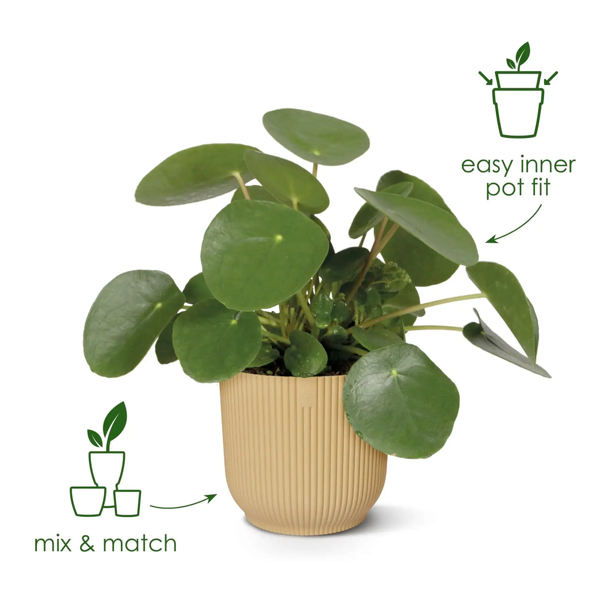 Elho Vibes Fold Round Plant Pot Elho