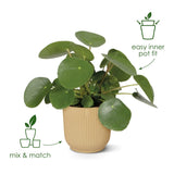 Elho Vibes Fold Round Plant Pot Elho