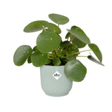 Elho Vibes Fold Round Plant Pot Elho