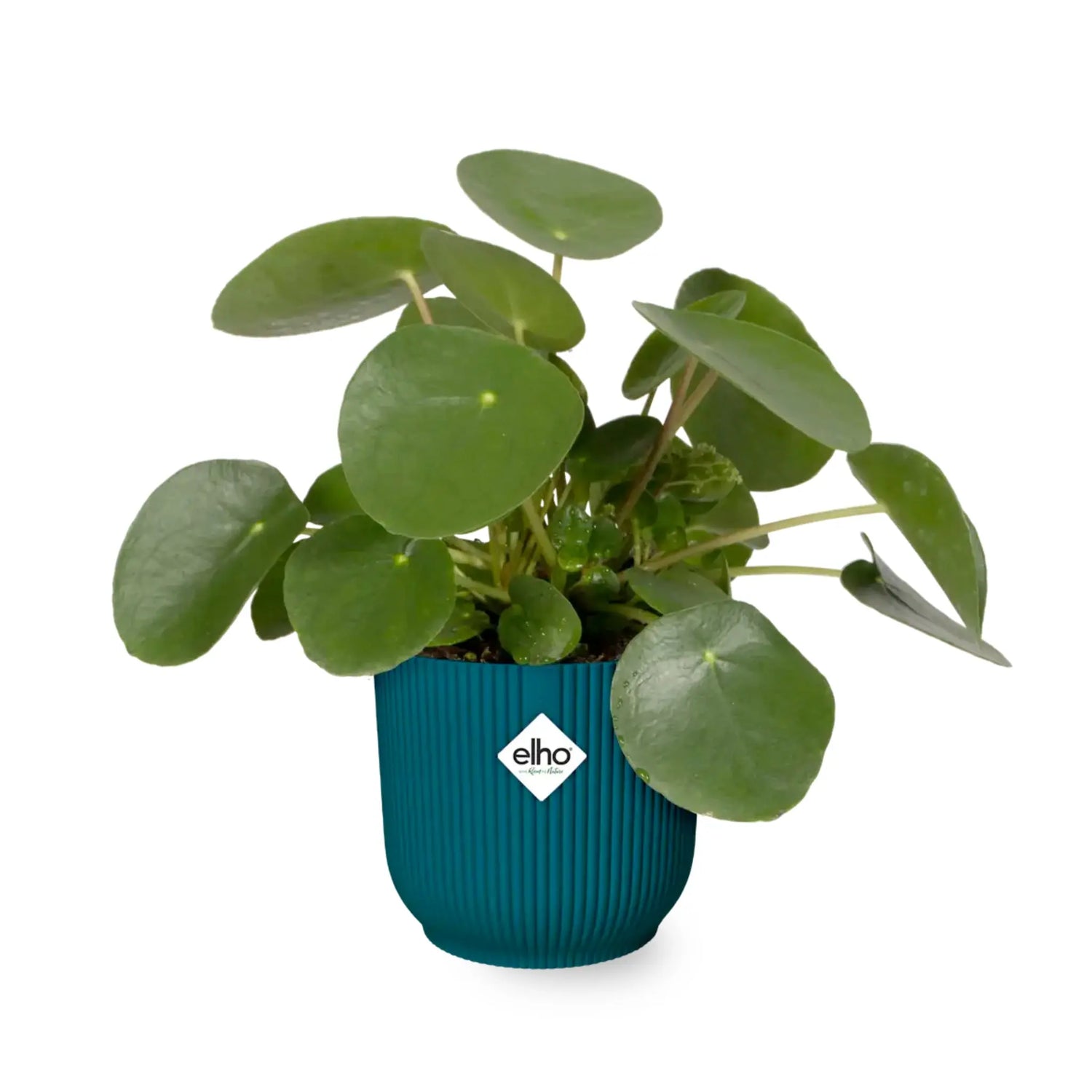 Elho Vibes Fold Round Plant Pot Elho