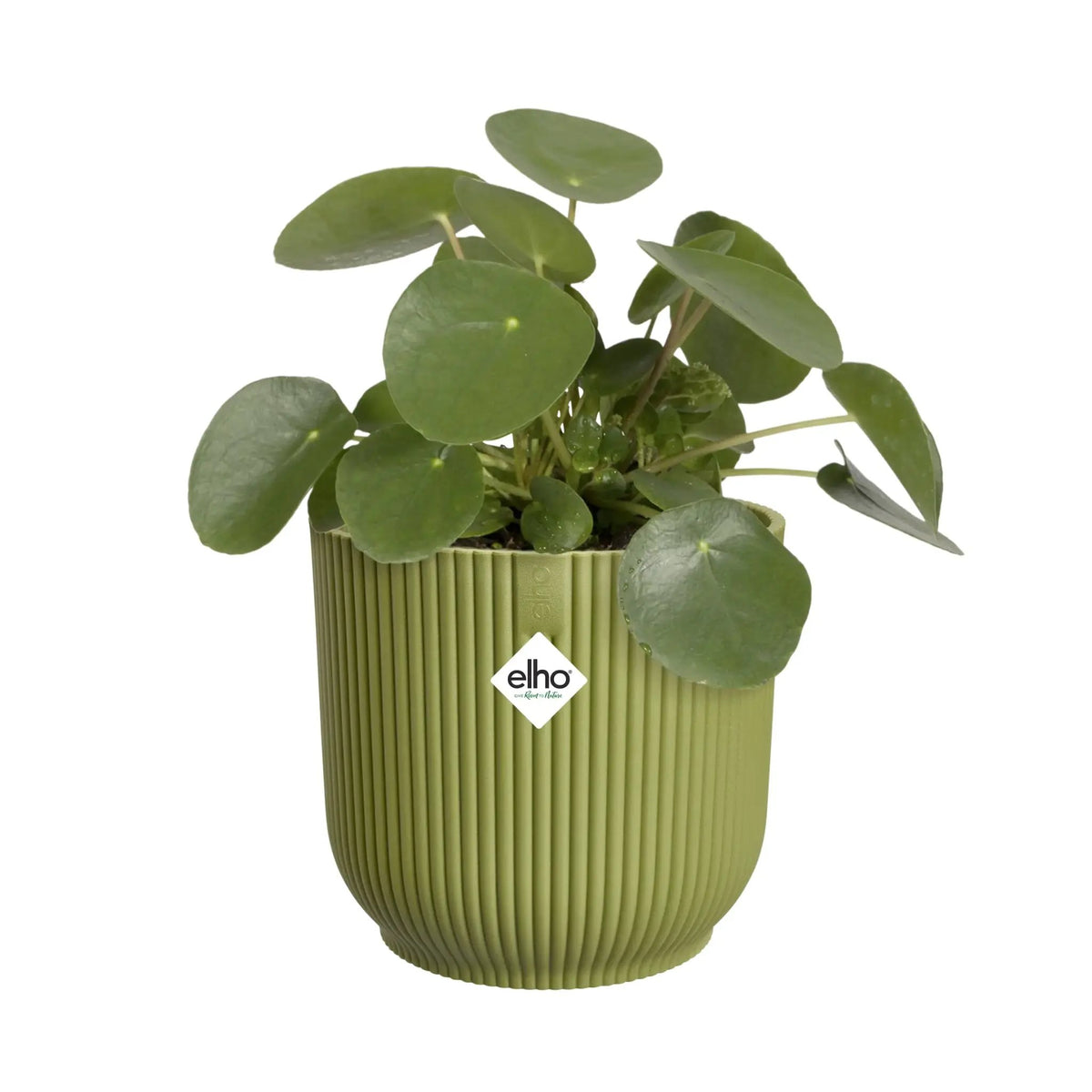 Elho Vibes Fold Round Plant Pot Elho