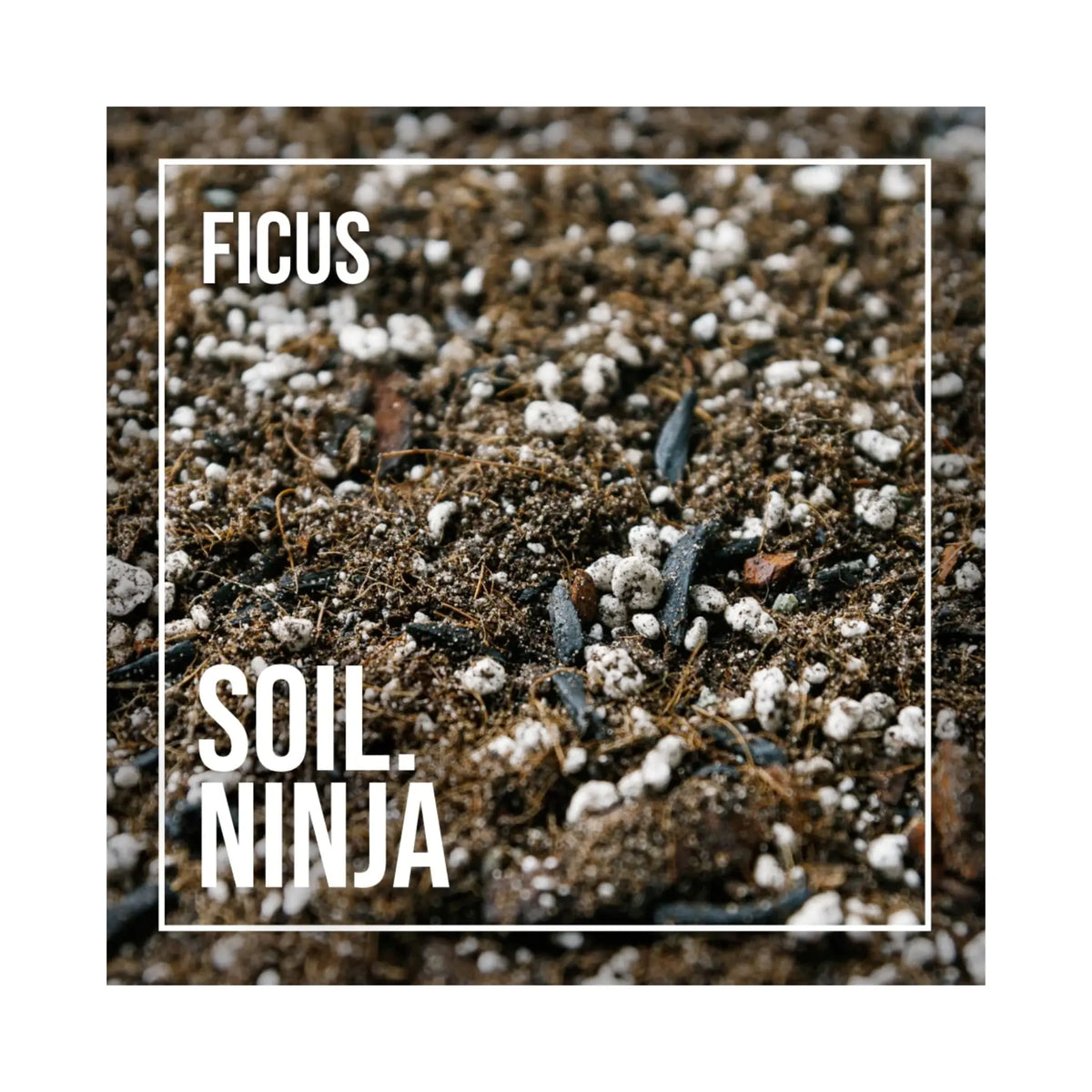 ficus potting mix Ficus Soil Mix | Premium Houseplant Potting Blend | Soil Ninja