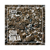 Ficus Soil Mix | Houseplant Potting Mix | Soil Ninja