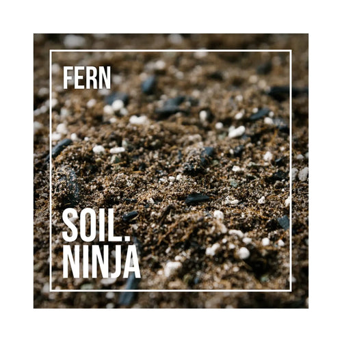 Ficus Soil Mix | Premium Potting Blend for Indoor Ficus Plants | Soil Ninja