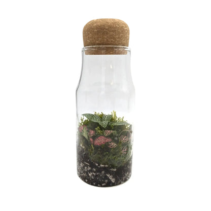 Glass Bottle Terrarium (Copy) Leaf Culture