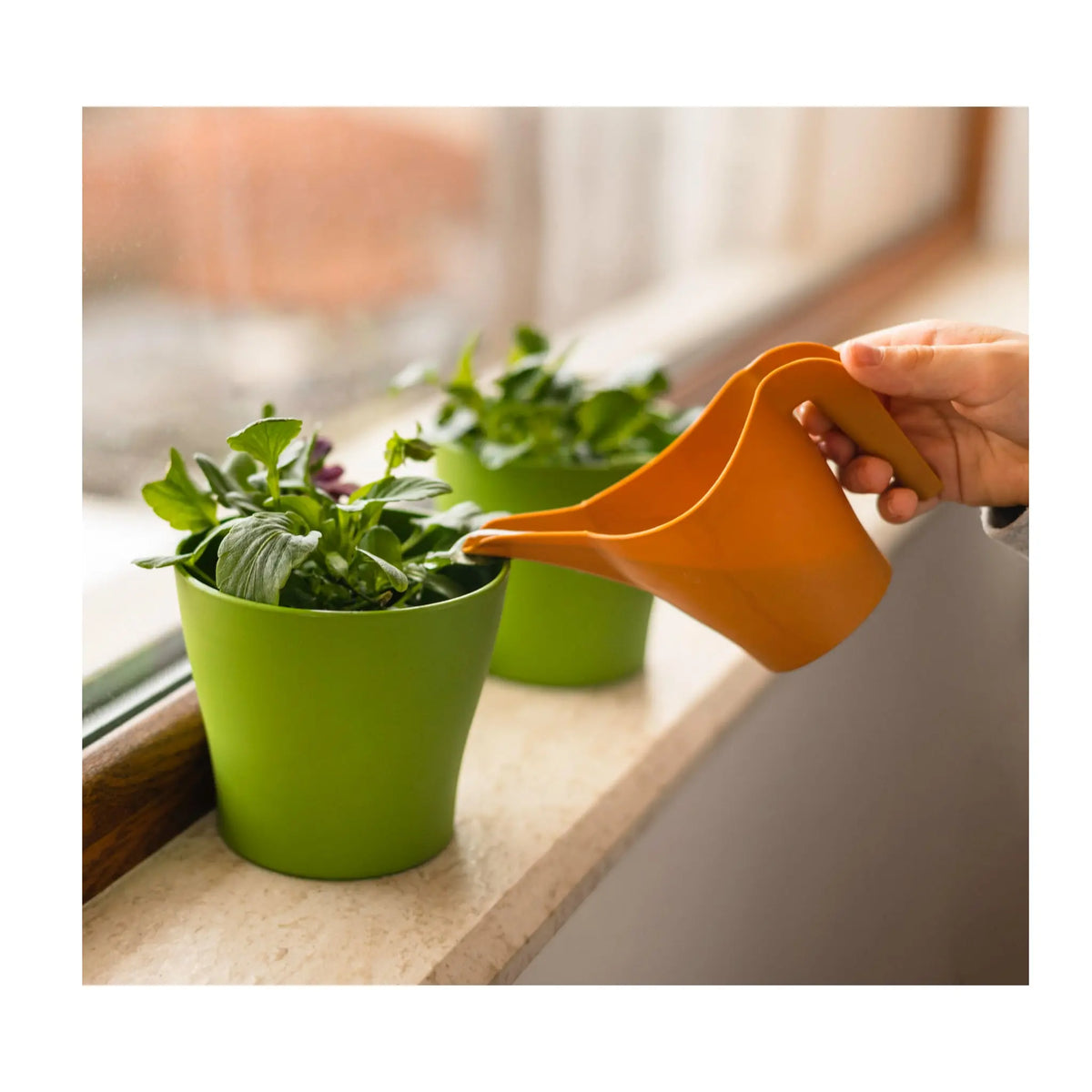 Green Vibes Feed - Liquid Fertiliser for Houseplants