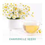 Herbal Tea Grow Your Own Kit Plant Gift Co