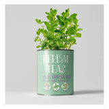Herbal Tea Grow Your Own Kit Plant Gift Co