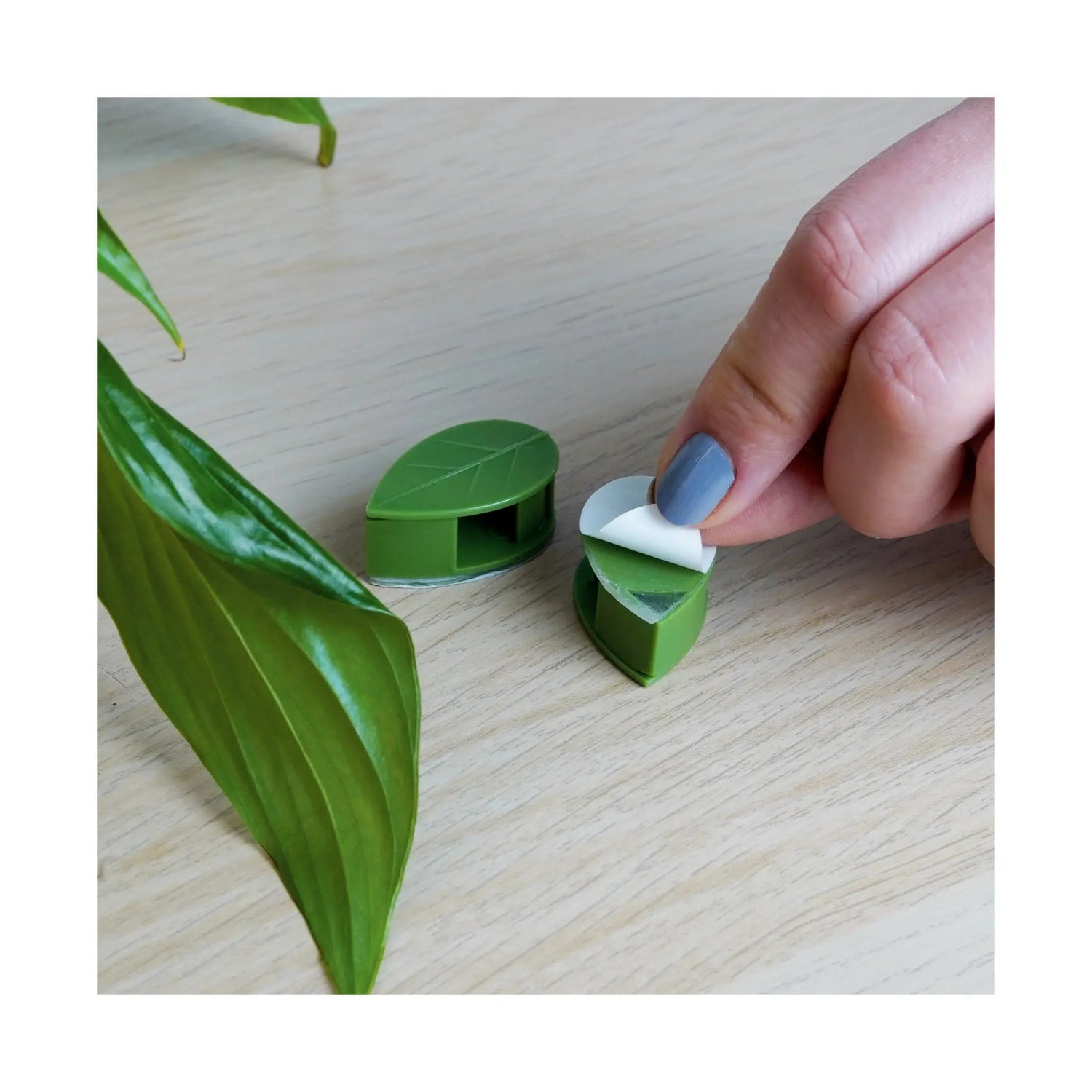 Houseplant Climbing Clips Leaf Culture