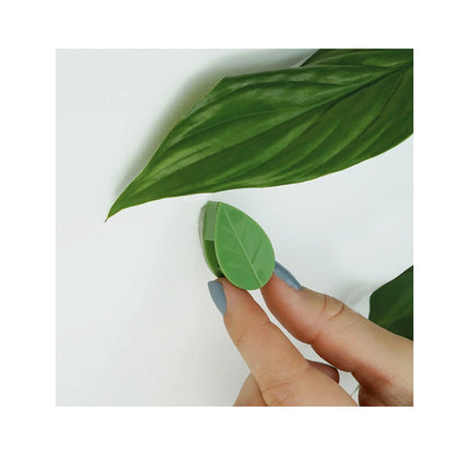 Houseplant Climbing Clips Leaf Culture