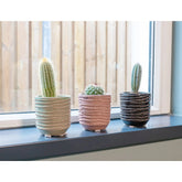 Jefta Plant Pot - Blush Pink TS Collection