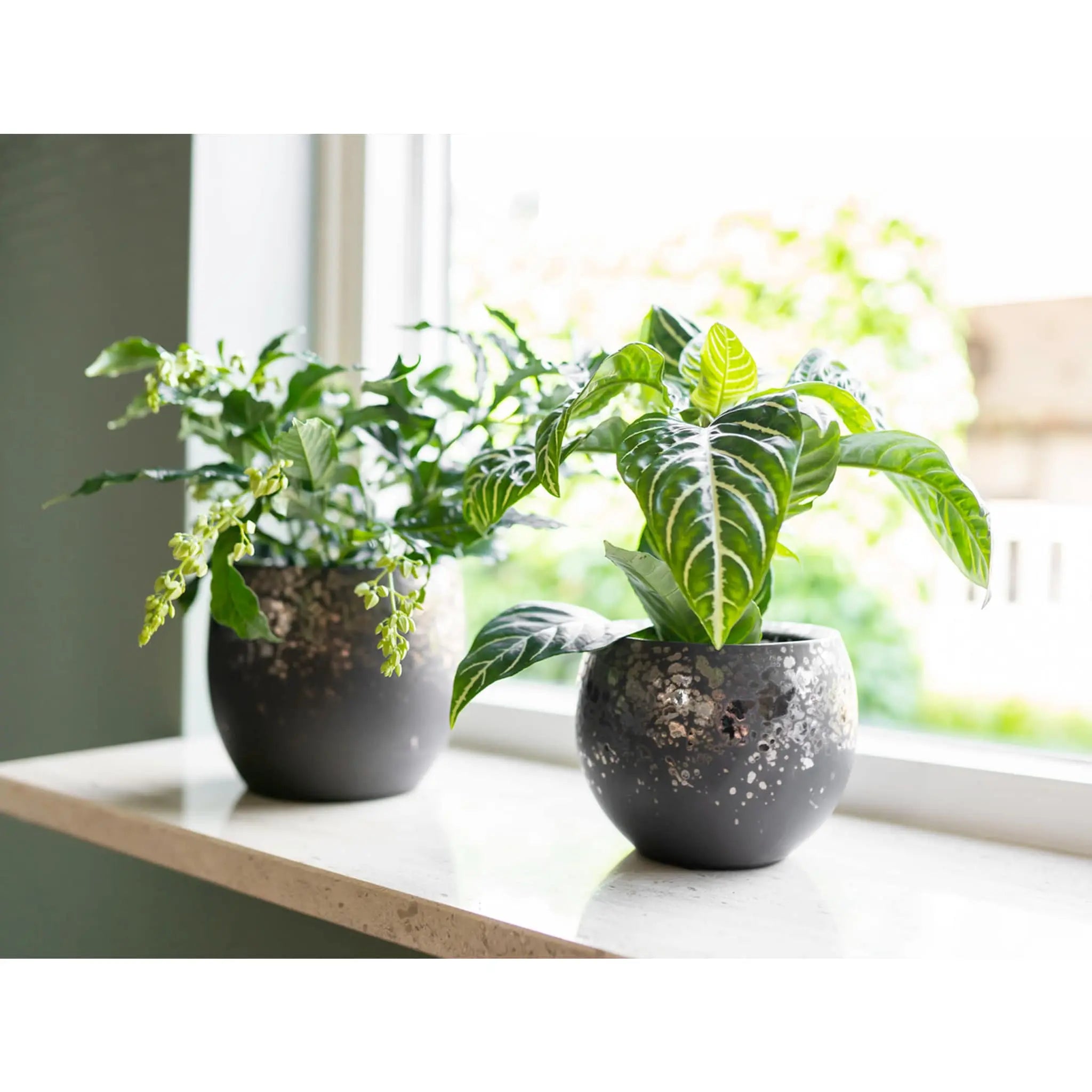 Kae Plant Pot - Mocha TS Collection