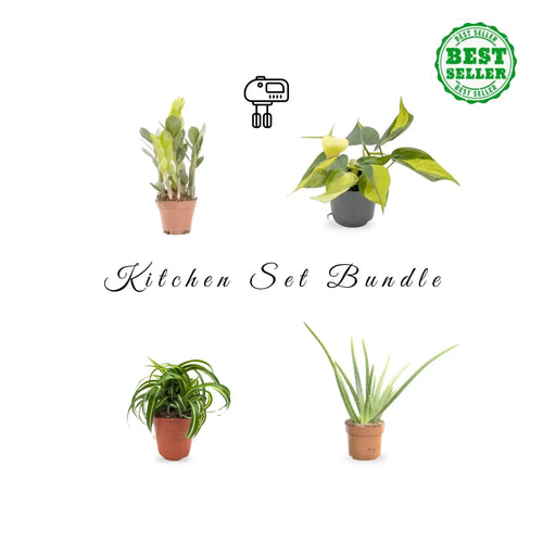Kichen Bundle Leaf Culture