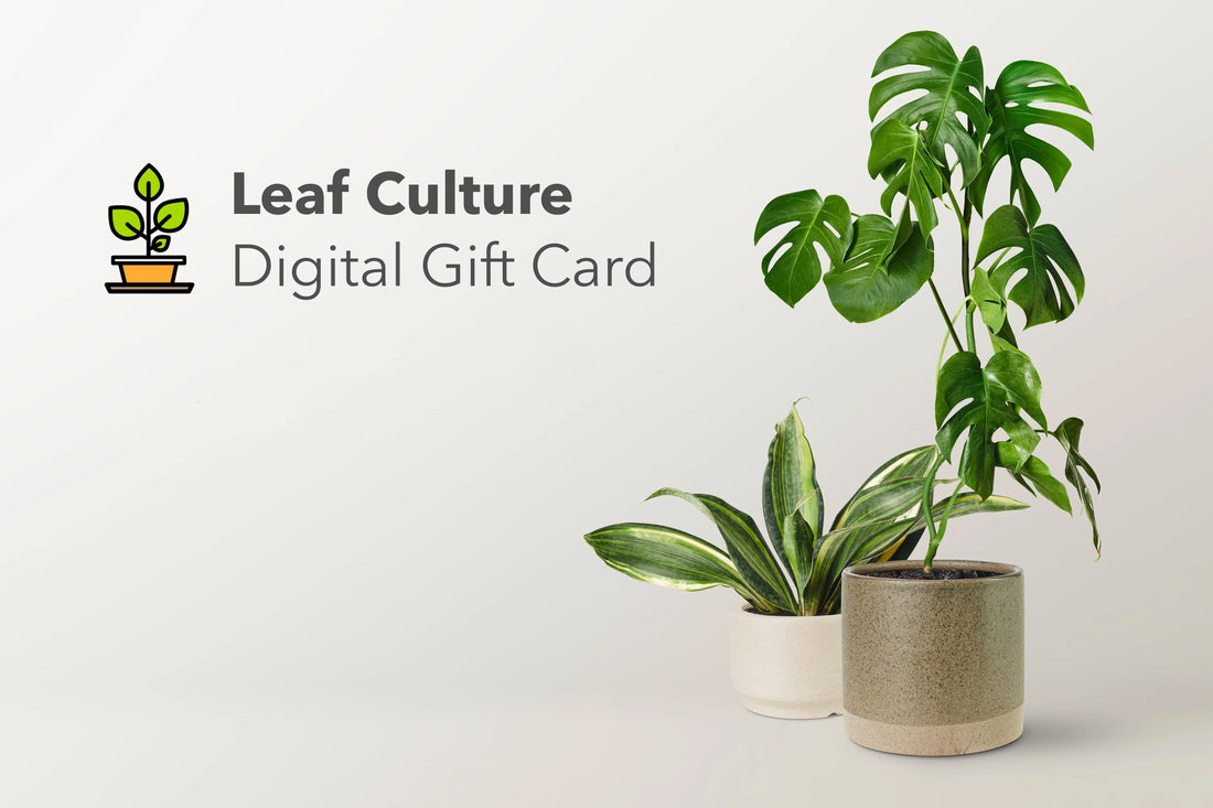 Leaf Culture Digital Gift Card - Delivered by email Leaf Culture