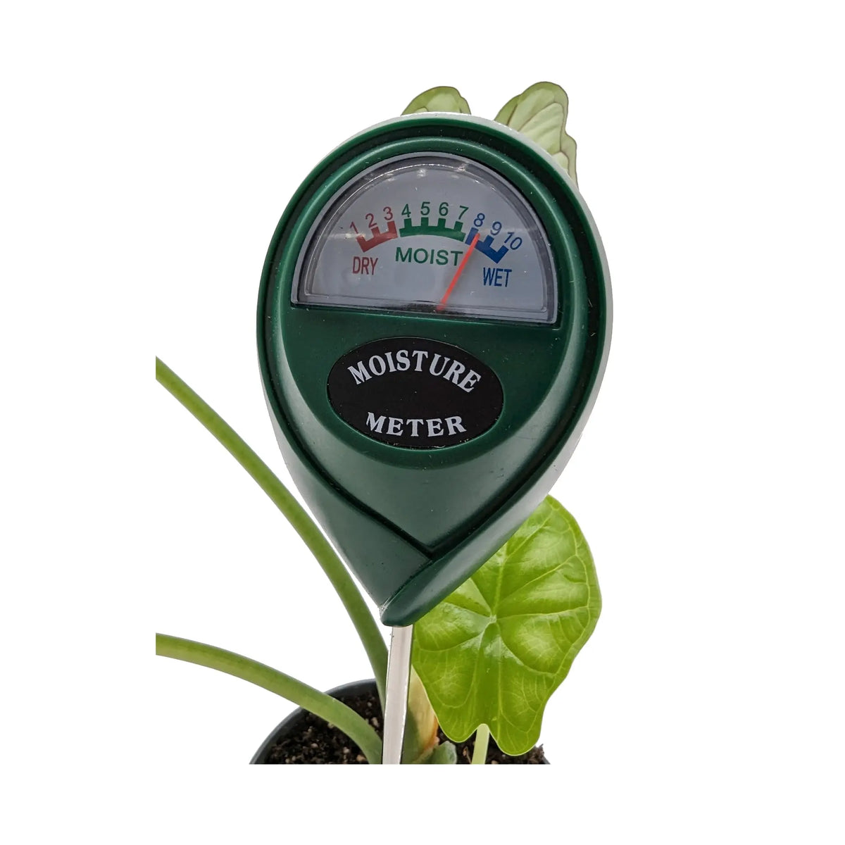 moisture meter chart for house plants Moisture Meter for Houseplants | Soil Water Level Tester
