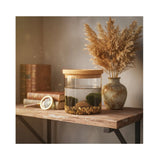 Mini Moss Ball Terrarium | Marimo Aquatic Ecosystem - Desk Gift