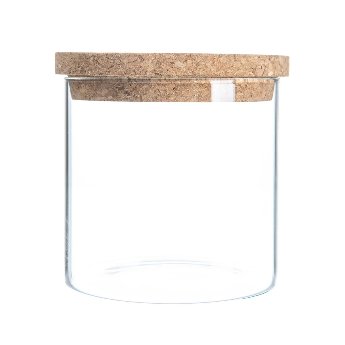 Mini Moss Ball Terrarium | Marimo Aquatic Ecosystem - Desk Gift