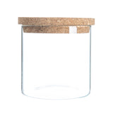 Mini Moss Ball Terrarium | Marimo Aquatic Ecosystem - Desk Gift