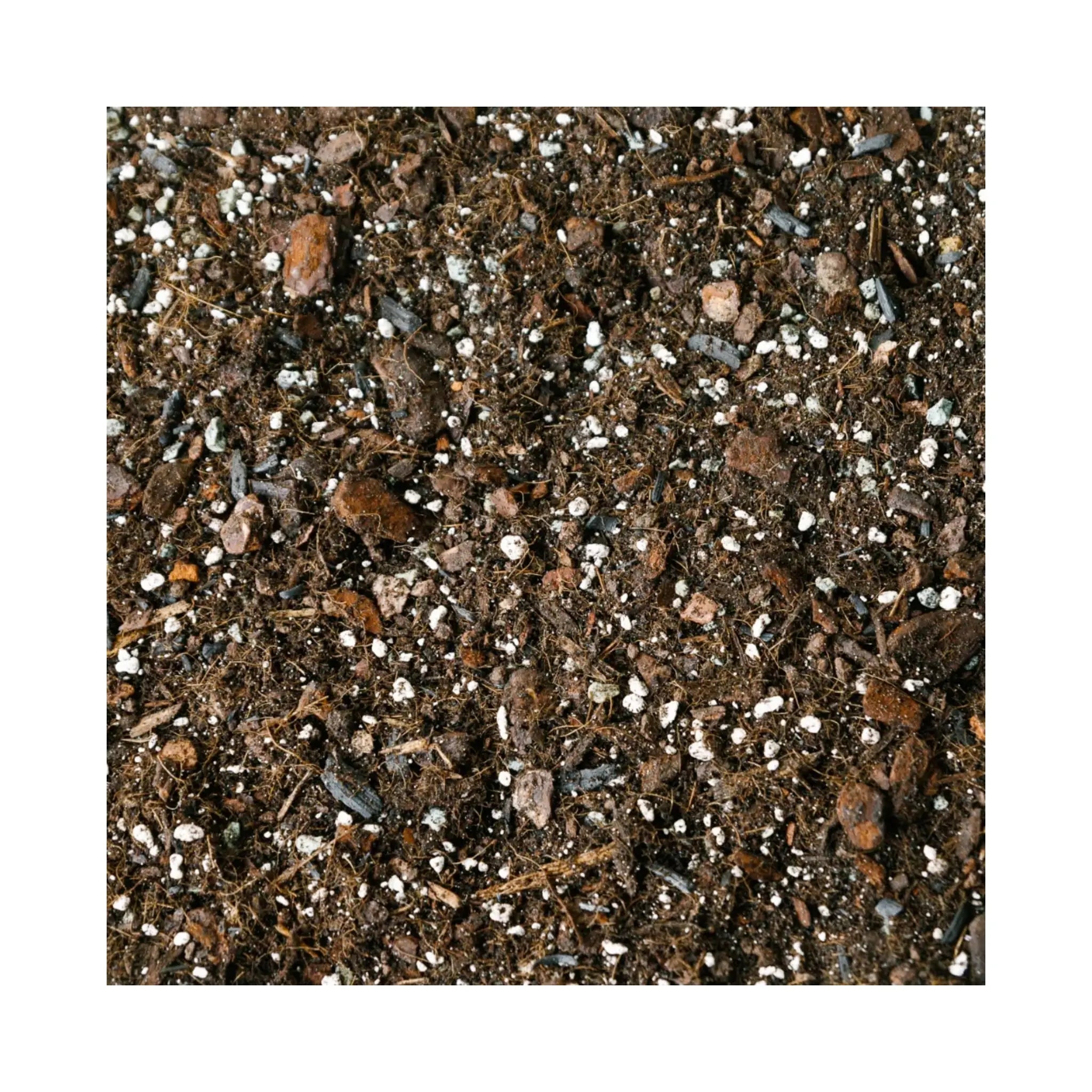 Monstera Soil Mix | Aroid Potting Mix | Soil Ninja