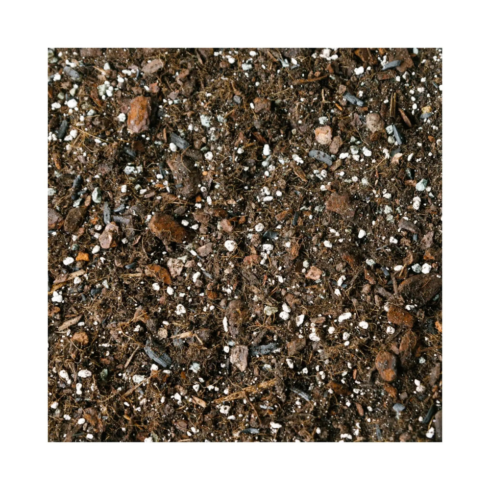 Monstera Soil Mix | Premium Philodendron Potting Blend - Soil Ninja_2_main