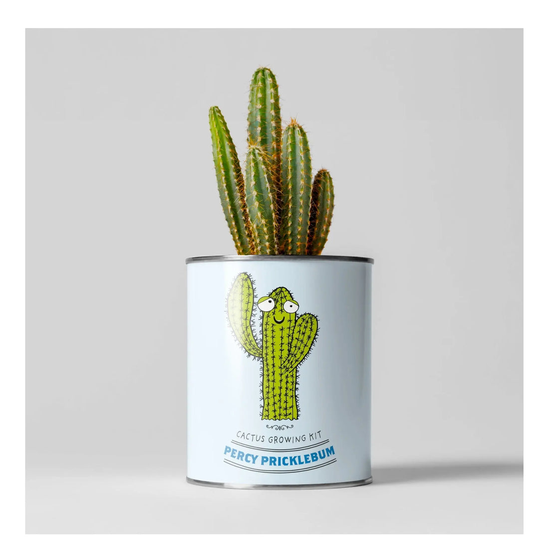 Percy Pricklebum. Grow Your Own Cacti Kit, Gardening Gift Plant Gift Co