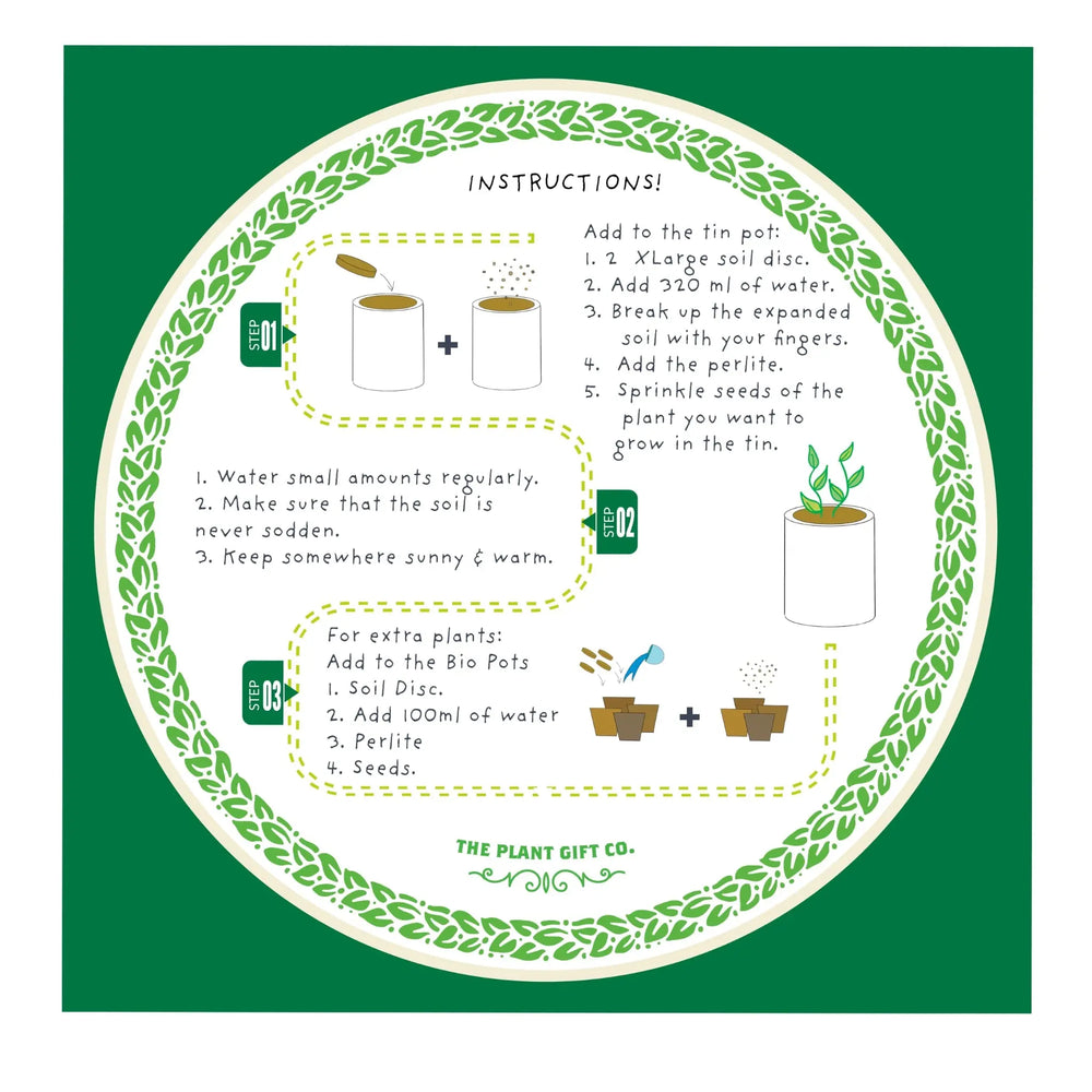 Percy Pricklebum. Grow Your Own Cacti Kit, Gardening Gift_5_thumb