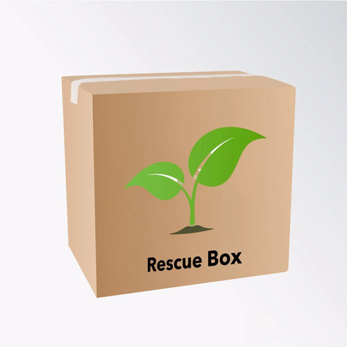 Plant Rescue Box (5 plants) Leaf Culture