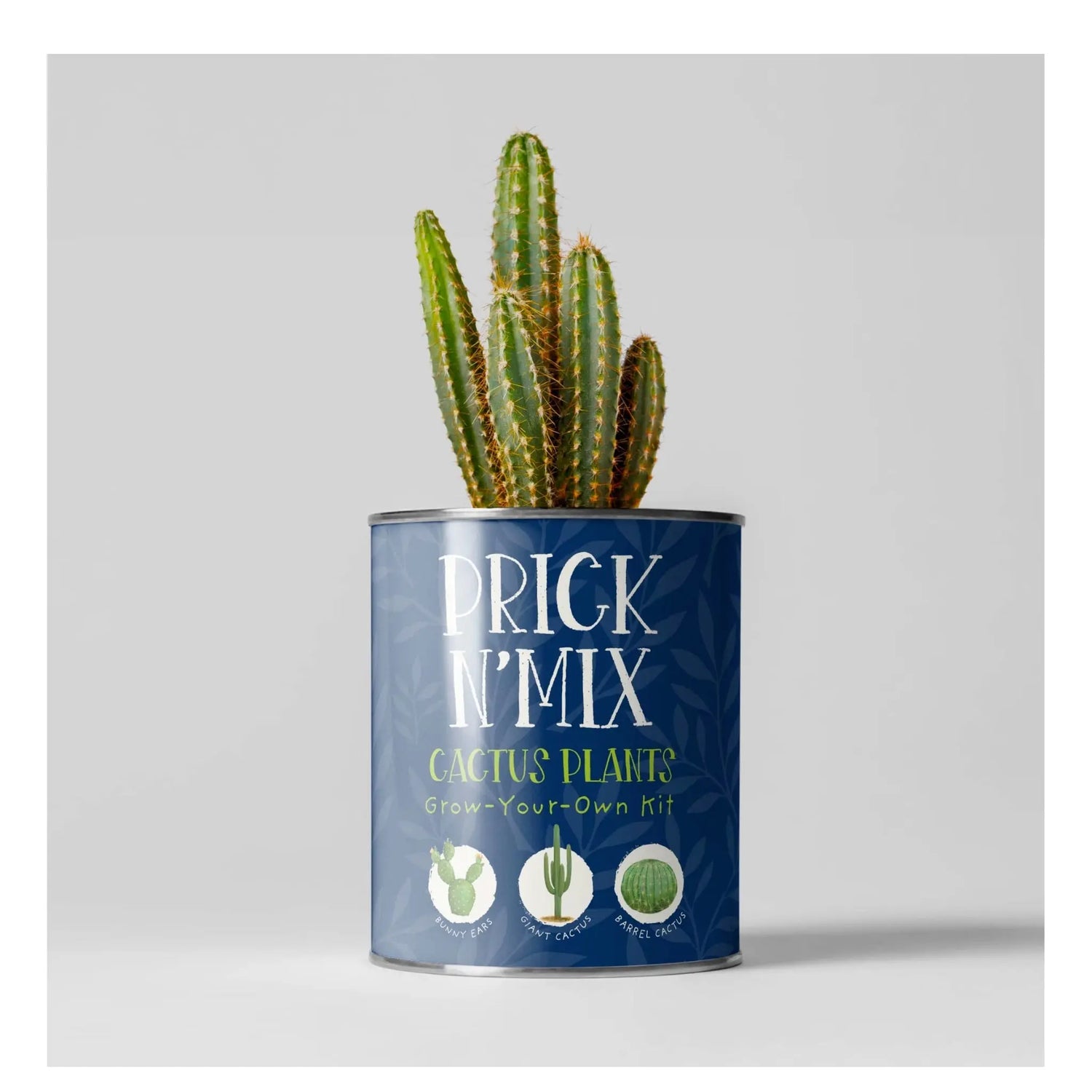 Prick N Mix. Eco Grow Your Own Cactus, Gardening Kit Plant Gift Co