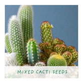 Prick N Mix. Eco Grow Your Own Cactus, Gardening Kit Plant Gift Co