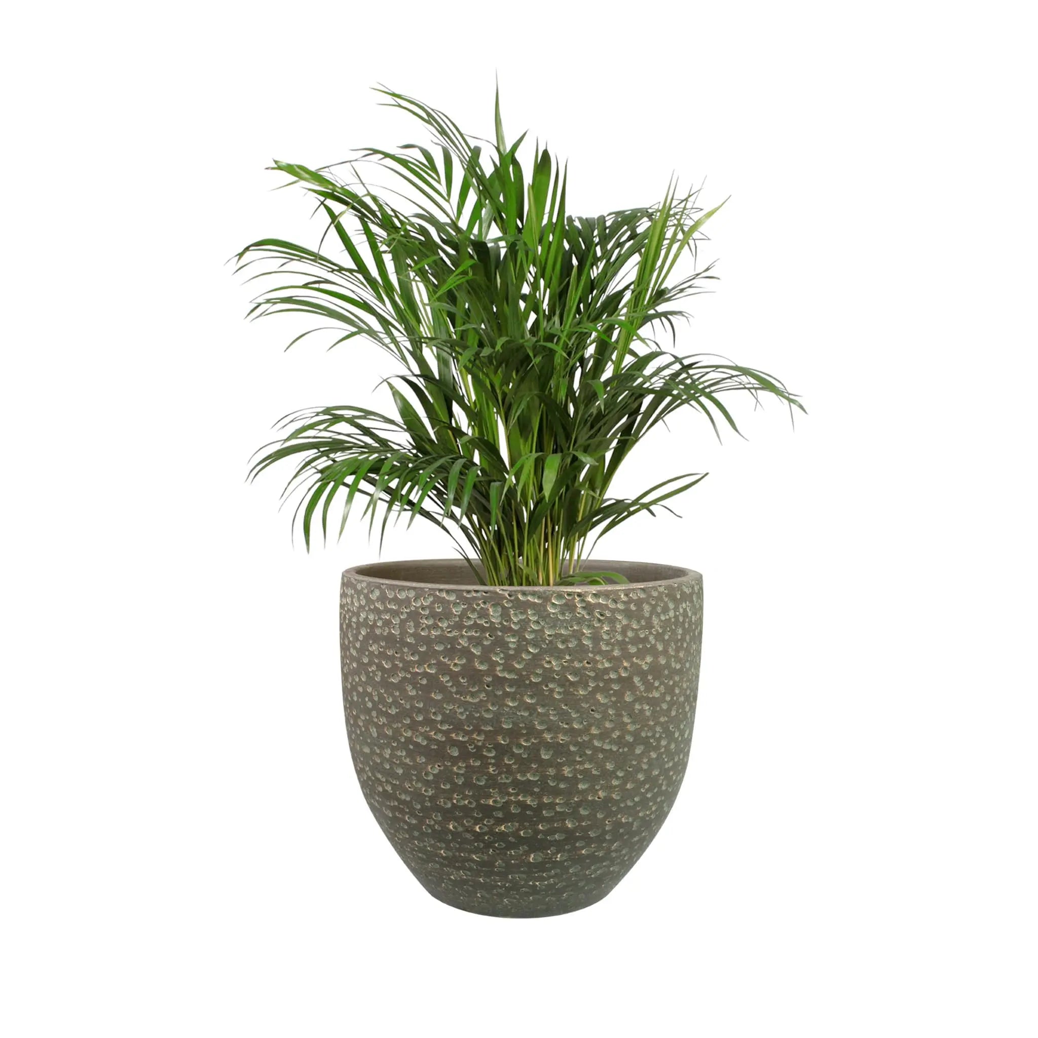 Rinca Plant Pot - Shiny Green TS Collection