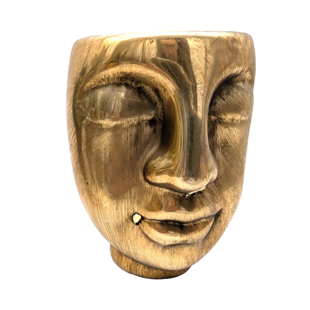 Sansevieria Including Golden Pot_6_main